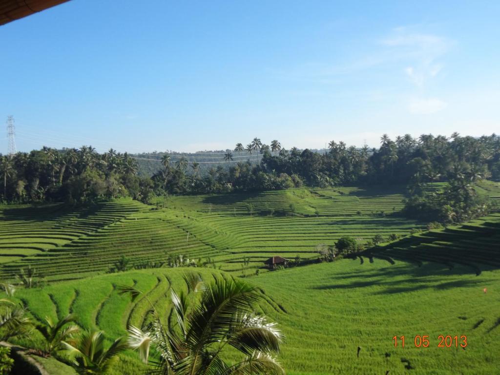 เซ็มปากา เบลิมบิง Hotel Blimbing  ภายนอก รูปภาพ