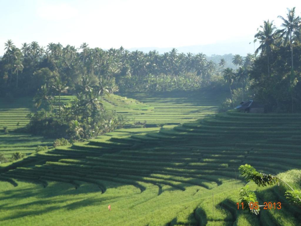 เซ็มปากา เบลิมบิง Hotel Blimbing  ภายนอก รูปภาพ